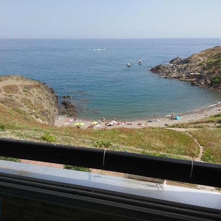 포르방드르 Portvendres Sea View 아파트 외부 사진