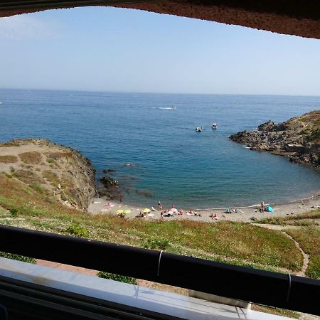 포르방드르 Portvendres Sea View 아파트 외부 사진