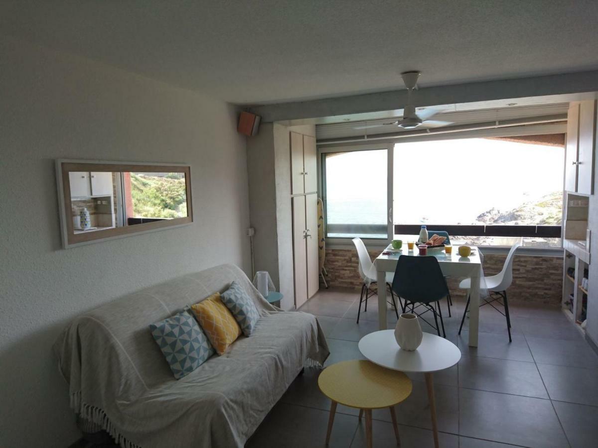 포르방드르 Portvendres Sea View 아파트 외부 사진