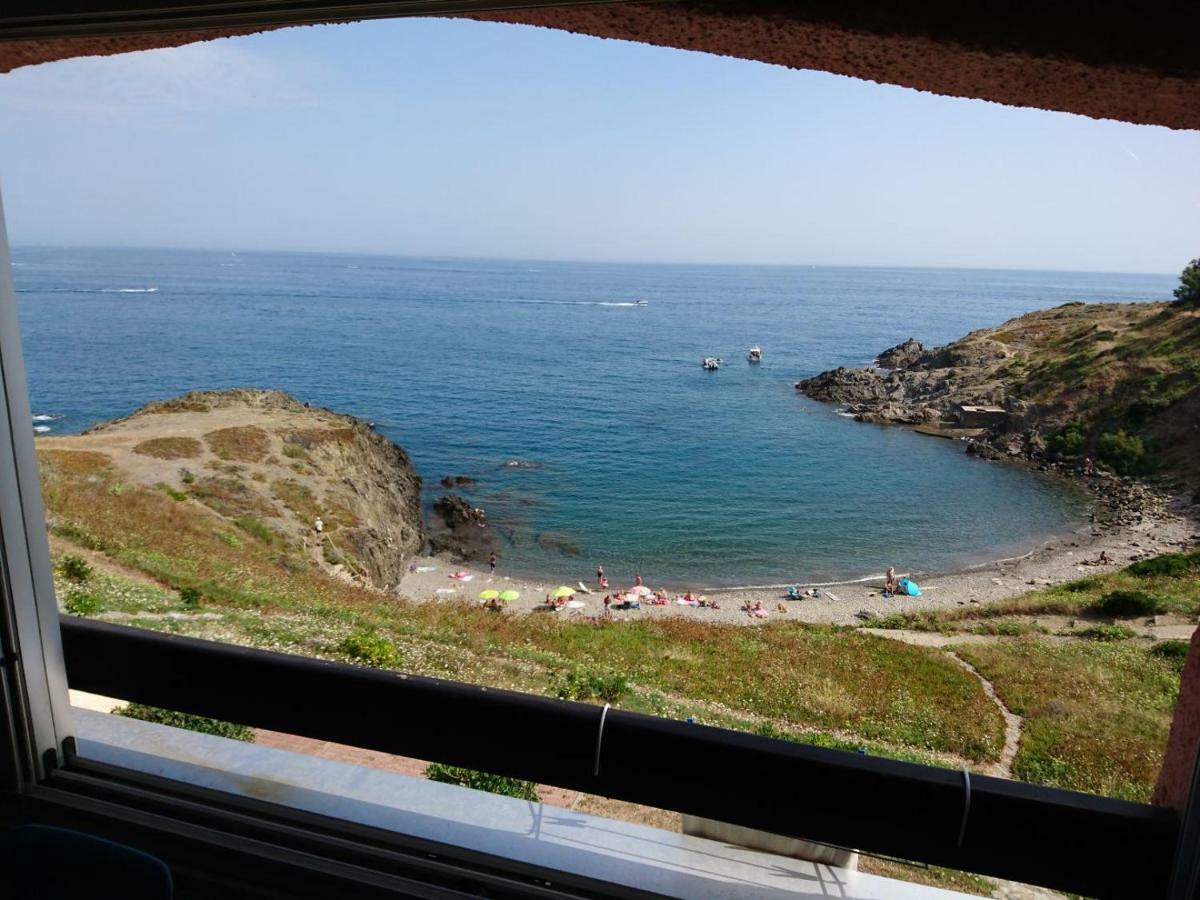 포르방드르 Portvendres Sea View 아파트 외부 사진